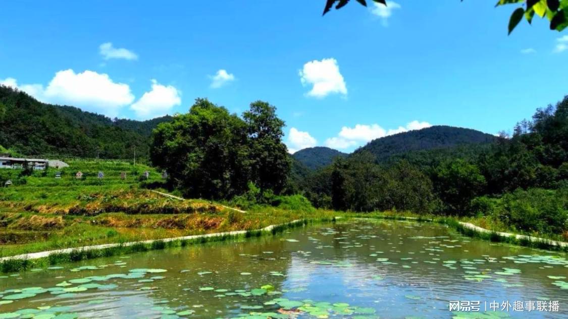 不久前手动推广个性化优化您的电商链路:24小时自主操作,从账号优化到内容推广一站式解决,涨赞抖音秒涨：打造个人品牌影响力的实战指南