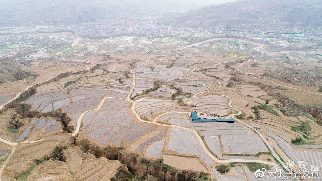 保时捷车主发声